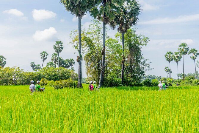 Siem Reap: Countryside Vespa Tour / Tuk Tuk Available - Riding a Vintage Vespa Out of Siem Reap Town