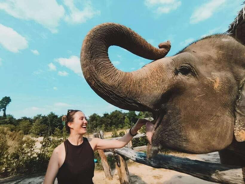 Siem Reap: Elephant Sanctuary Included Hotel Pickup Drop-off - Key Things I’d Watch For in This Elephant Sanctuary Experience