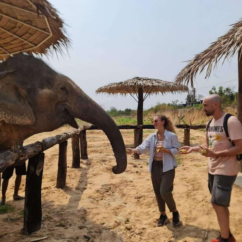 Siem Reap: Elephant Sanctuary Included Hotel Pickup Drop-off - Your Guide and the Sanctuary Intro: What You Learn Before You Get Wet