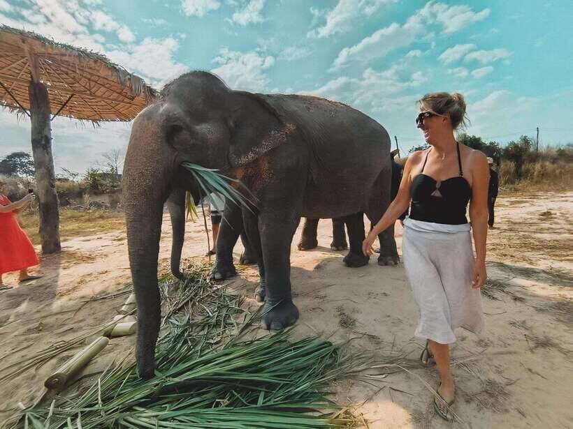 Siem Reap: Elephant Sanctuary Included Hotel Pickup Drop-off - Feeding the Elephants: Nutritious Meals With a Digestive-Well-Being Twist