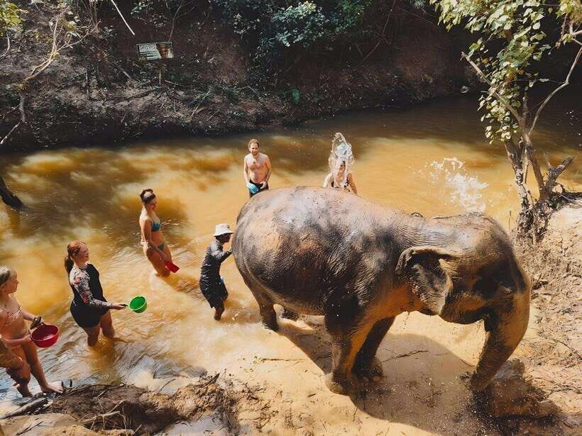Siem Reap: Elephant Sanctuary Included Hotel Pickup Drop-off - The Mud Bath Session: Fun, Messy, and Still Purposeful