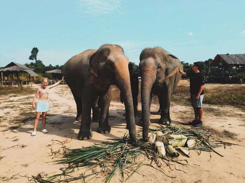 Siem Reap: Elephant Sanctuary Included Hotel Pickup Drop-off - After the Mud: The Elephants’ Bathing Session and Your Refresh Break