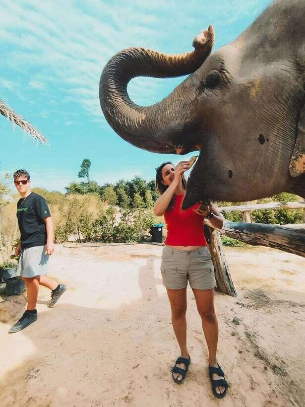 Siem Reap: Elephant Sanctuary Included Hotel Pickup Drop-off - Who This Is Best For (and Who Should Skip It)