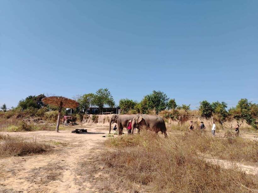 Siem Reap: Elephants & Apopo Rat Demining Private Trip - Key things to know before you go