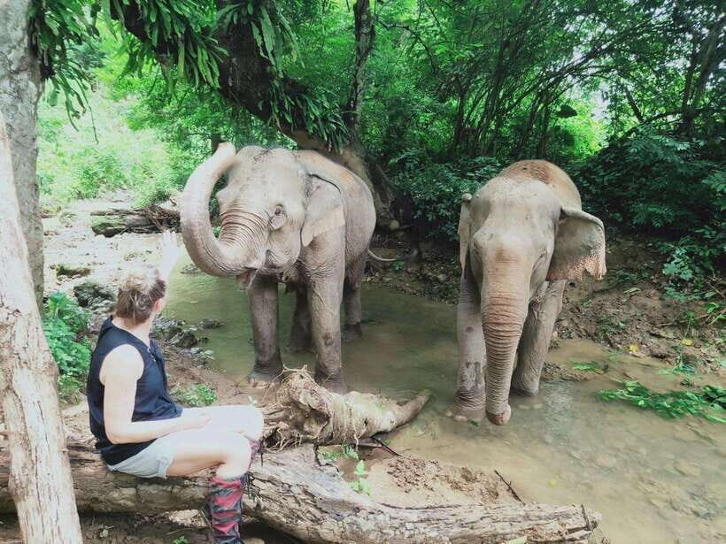 Siem Reap: Elephants & Apopo Rat Demining Private Trip - Hotel pickup, drive time, and how the day keeps moving