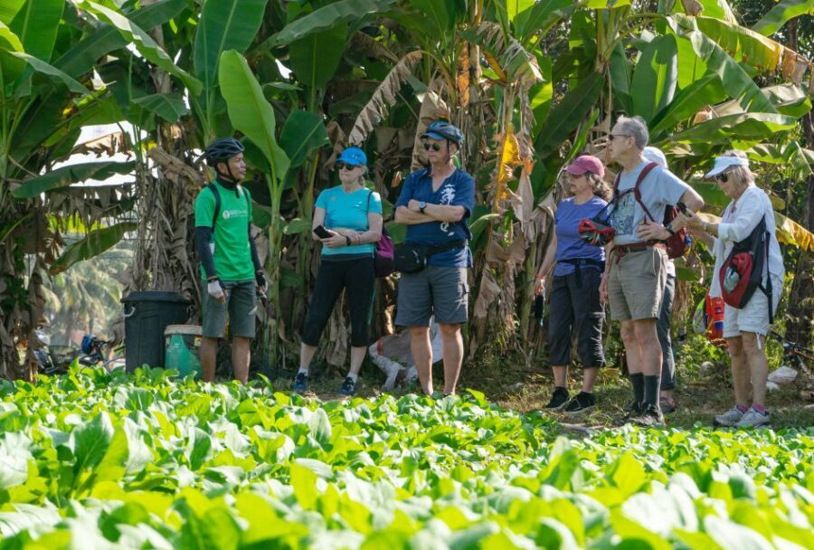 Siem Reap: Guided Countryside Bike Tour - How Hard Is This Ride, Really?