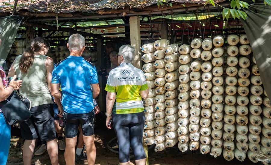Siem Reap: Guided Countryside Bike Tour - Market Time: Snacks, Fruits, and How Daily Trade Works