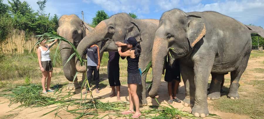 Siem Reap: Kulen Elephant Forest Guided Tour - Quick highlights