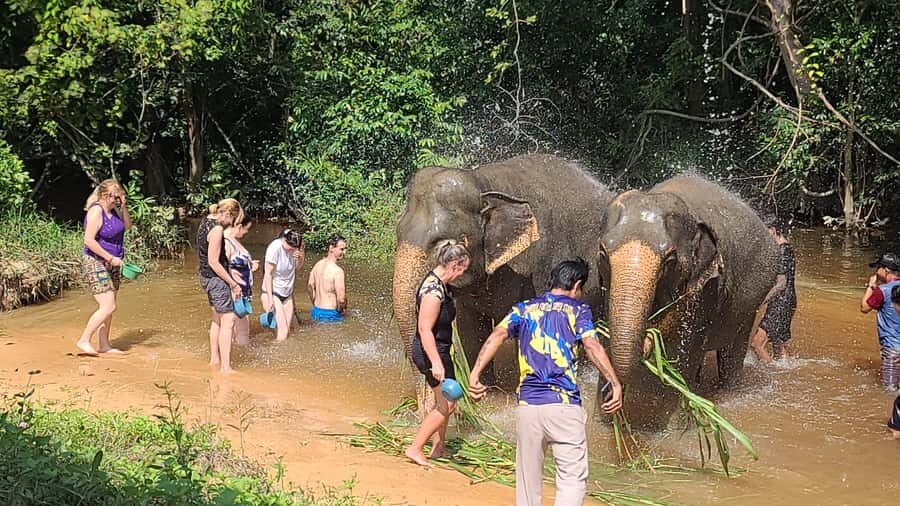 Siem Reap: Kulen Elephant Forest Guided Tour - Tips to make your day smoother in Cambodia heat and forest paths