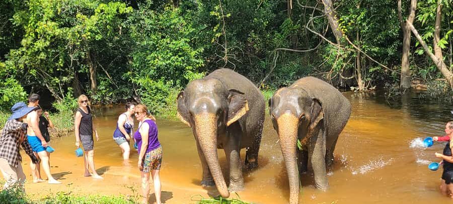 Siem Reap: Kulen Elephant Forest Guided Tour - Who this tour fits best (and who should think twice)