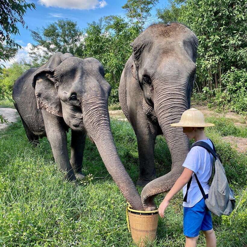 Siem Reap: Kulen Elephant Forest & Tonlesap Lake - Boat Trip and Canoe Options: What’s Included, What Might Change
