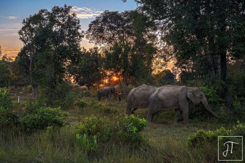 Siem Reap: Kulen Elephant Forest & Tonlesap Lake - What to Bring (So You Don’t Regret It in the Mud)
