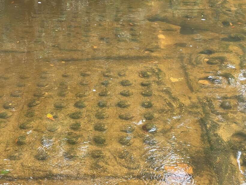 Siem Reap: Kulen Waterfall and Banteay Srei Exploration - River of 1000 Lingas: water, fertility, and carvings in the riverbed