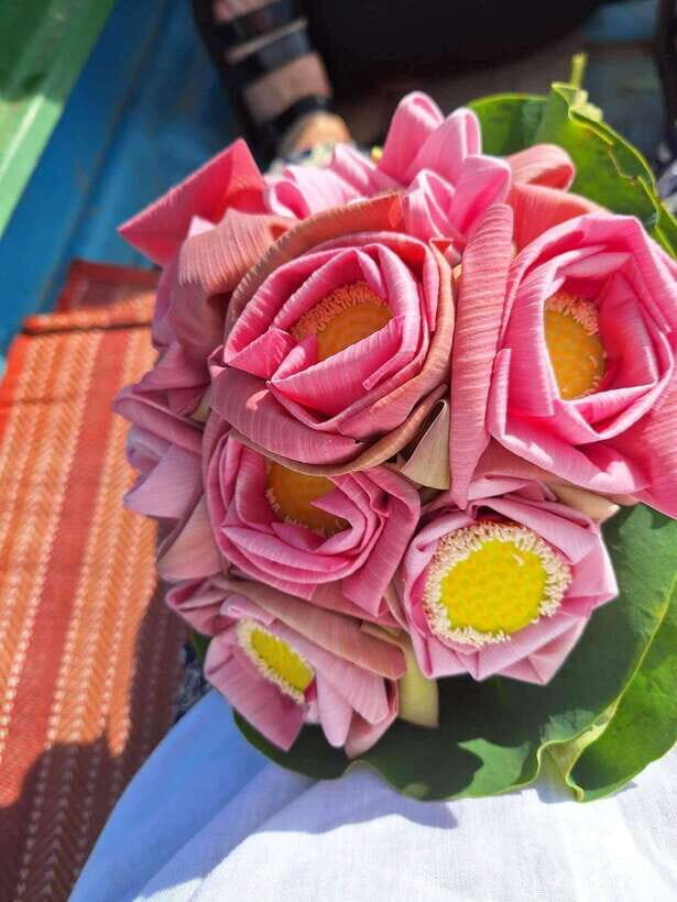 Siem Reap Lotus Silk Farm Discovery tour & Lake experience - Should you book the Lotus Silk Farm Discovery and lake experience?