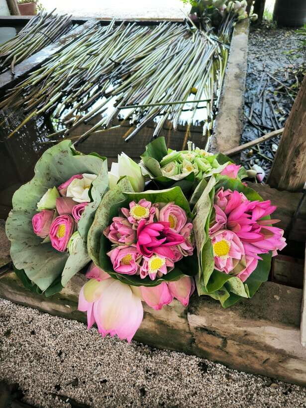 Siem Reap Lotus Silk Farm Discovery tour & Lake experience - Tuk-tuks, tea time, and shop browsing without feeling rushed