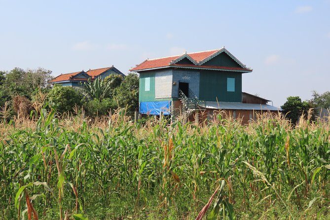 Silk Island & countryside of Phnom Penh by Tuk Tuk - The Mekong ferry start: the quickest way to feel “away from Phnom Penh”