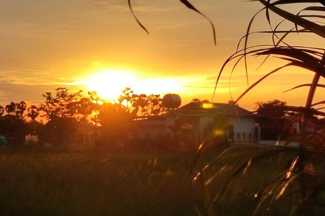 Small Group Countryside Bike Tours, Sunset & Picnic - Who This Tour Fits Best (And Who Might Skip It)