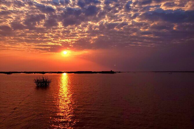 Sunset Dinner and drinks includes a Floating Village cruise tour. - Crocodile Farm Stop: Quick Viewing With a Wet-Lab Edge