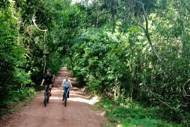 Sunset or sunrise bicycle tour around Angkor Wat and nearby temples - Why Riding Angkor Wat Makes Sense