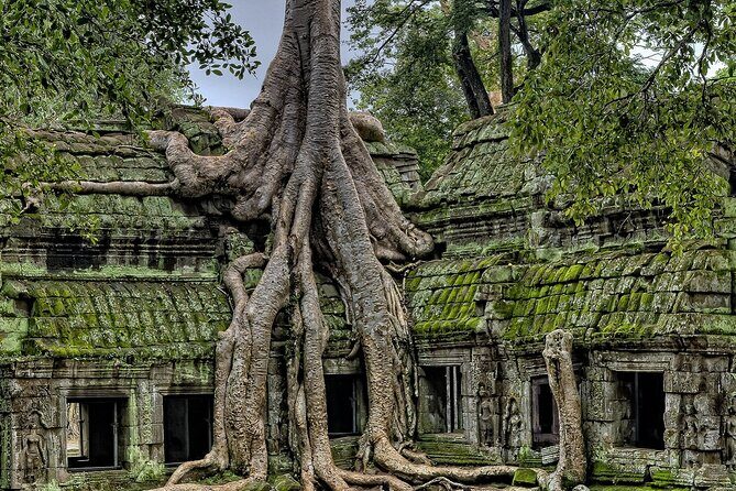 The Angkor Temples from Sunrise by Tuk Tuk - Preah Khan and the Eastern Baray area: where the day gets quieter