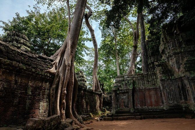 The Ultimate Angkor Wat Temple Private Day Trip - Ta Prohm: why the jungle-tree setting creates its own mood