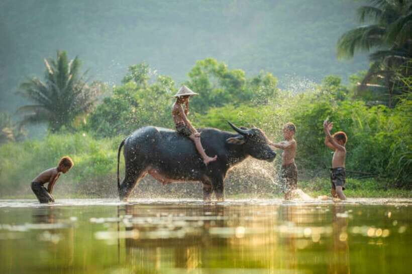 Tonle Sap Cruise & land Tour between Phnom Penh & Siem Reap - Who This Tour Fits Best (and Who Should Think Twice)