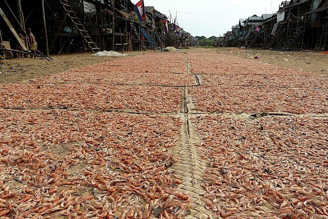 Tonle Sap Lake & Kampong Phluk Village Half-Day Tour - Mangrove canoe time (Aug–Jan): calm forest edges, and a seasonal reality